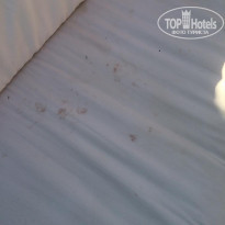 фото из отзыва ID 2073123