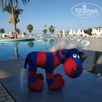 фото из отзыва ID 2074842