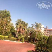 фото из отзыва ID 2077311