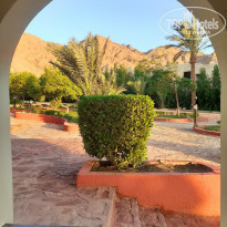 фото из отзыва ID 2077888