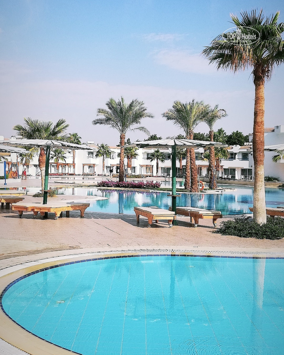 Джаз шарм дримс резорт шарм-эль-шейх. Шарм дримс резорт шарм-эль-шейх 5. Отель дримс вакейшн шарм-эль-шейх. Дримс вакейшн шарм-эль-шейх пляж. Дримс вакатион ресорт шарм-эль-шейх.