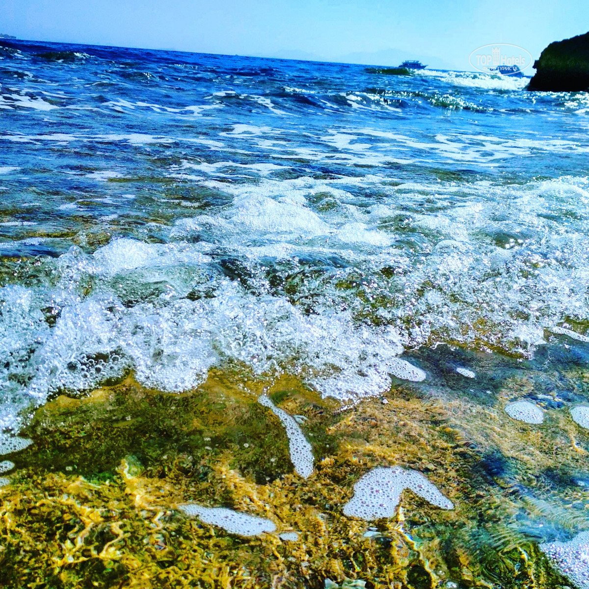 Море тепла. Море фотофильтр. Тёплое горячая море. Море с цветным названием очень теплое и соленое.