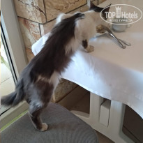 фото из отзыва ID 2081738