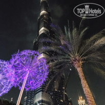 фото из отзыва ID 2083616