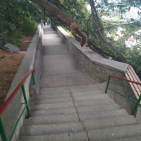 фото из отзыва ID 2087689