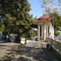 фото из отзыва ID 2087689