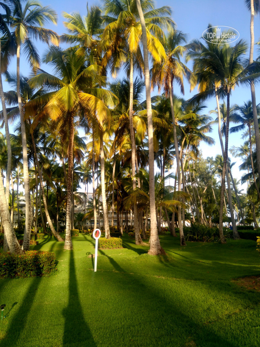 Vista Sol Punta Cana 5 Доминикана фото