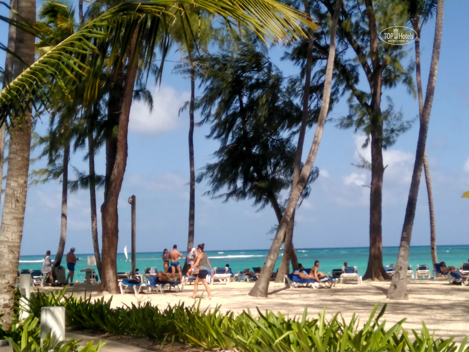 Vista Sol Punta Cana 5 Доминикана фото