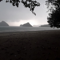 фото из отзыва ID 2092678