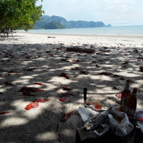 фото из отзыва ID 2092678