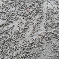 фото из отзыва ID 2092678