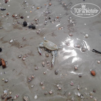 фото из отзыва ID 2092678