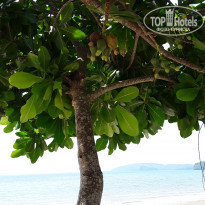 фото из отзыва ID 2092678