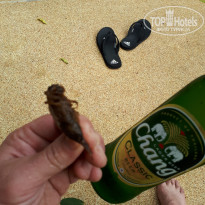 фото из отзыва ID 2092678