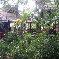 фото из отзыва ID 2092678