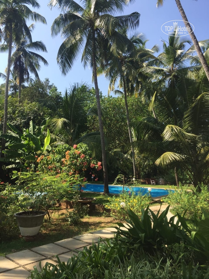 Morjim Plaza Goa