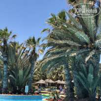 фото из отзыва ID 2095677