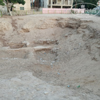 фото из отзыва ID 2095632