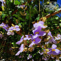 фото из отзыва ID 2104877