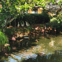 фото из отзыва ID 2104877