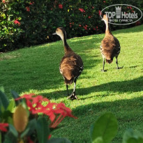 фото из отзыва ID 2104877