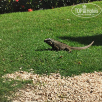 фото из отзыва ID 2104877