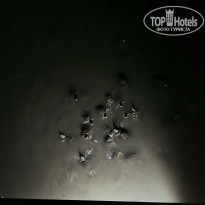 фото из отзыва ID 2104877