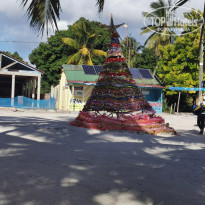 фото из отзыва ID 2104877