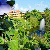 фото из отзыва ID 2104877