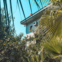 фото из отзыва ID 2106256