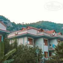 фото из отзыва ID 2106256