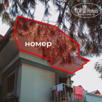 фото из отзыва ID 2106256