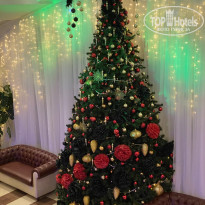 фото из отзыва ID 2106976