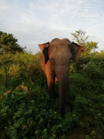 Nature Lovers Family Safari House And Cottage 