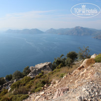 фото из отзыва ID 2110061