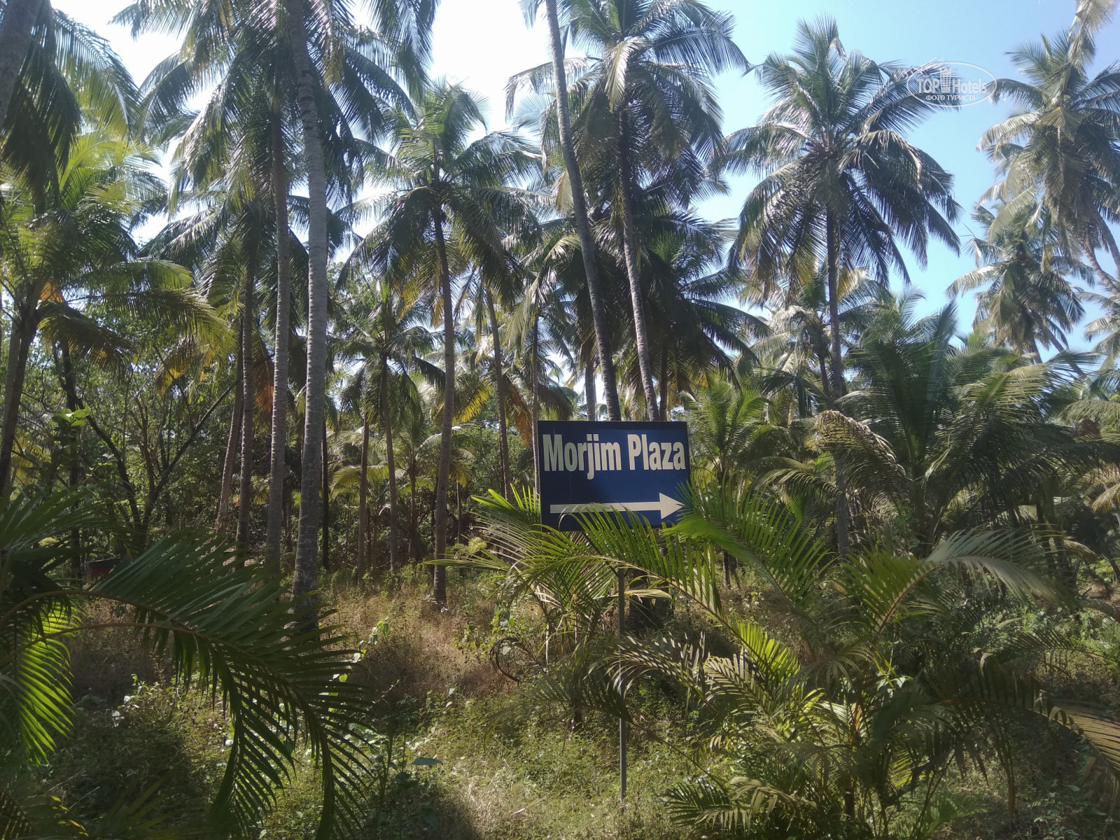 Morjim Plaza Goa