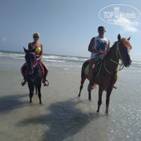 фото из отзыва ID 2110927