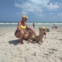 фото из отзыва ID 2110927