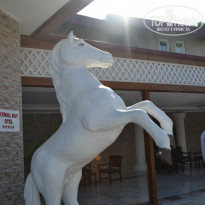 фото из отзыва ID 2111929