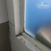 фото из отзыва ID 2113892