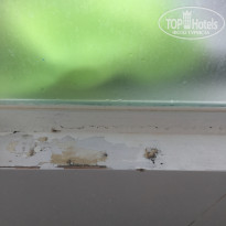 фото из отзыва ID 2113892