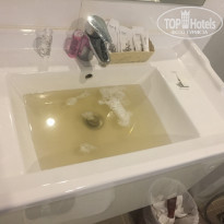 фото из отзыва ID 2113892