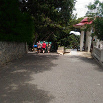 фото из отзыва ID 2116448