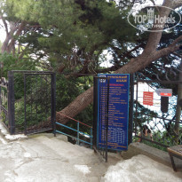 фото из отзыва ID 2116448