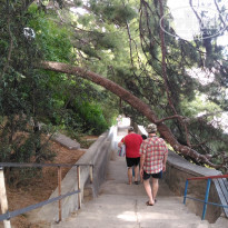 фото из отзыва ID 2116448