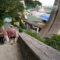 фото из отзыва ID 2116448