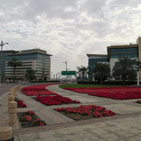 фото из отзыва ID 2117992