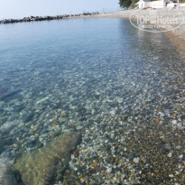 фото из отзыва ID 2119079