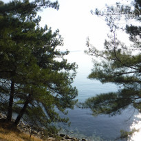 фото из отзыва ID 2119079