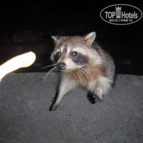 фото из отзыва ID 2119079